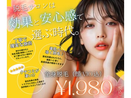 セロ(Sero)の写真