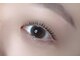ナナラ(nanara)の写真