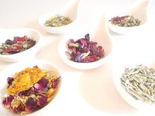 スイートローズ(Sweet Rose)/ハーブテントに使用するハーブ