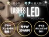 LED グルーお試し！エクステ100本orボリュームラッシュ80束