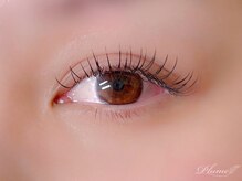 プリュム(plume)/フラットラッシュ