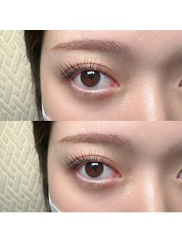 ジョリー(Jolie)/