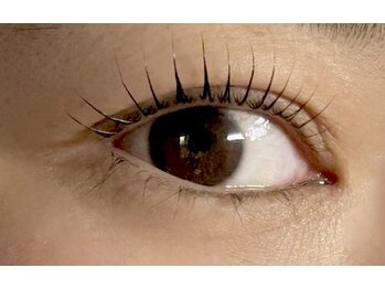 シャトン(Chaton)/