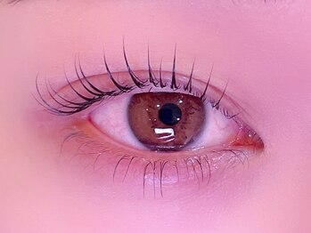 シル シェノン(cil shenon)/上下まつげパーマ