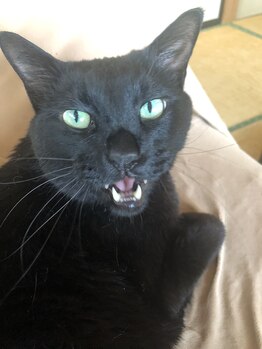 オリエンタル ソワン(Oriental Soin)/