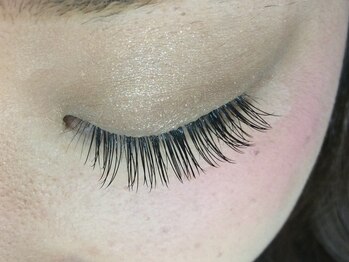 シュシュ(chou chou)/セーブル140本(chouchou吉祥寺)