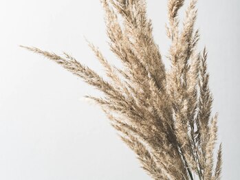 アッシュ 十日市場(Ash)/