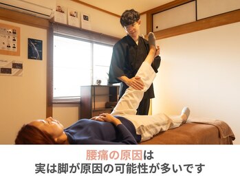 六花(リッカ)/腰痛の原因