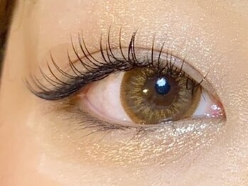 ミストアイラッシュ(mist eyelash)/フラットラッシュ 80本/マツエク