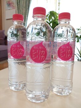 フィールチャンピ/世界トップクラスのシリカ含有量