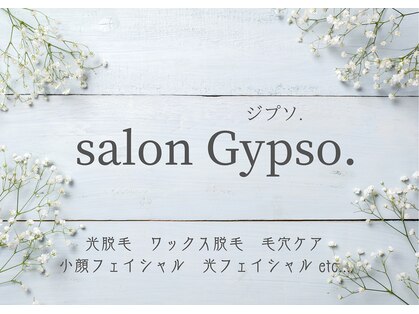 サロン ジプソ(salon Gypso.)の写真