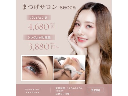 セッカ(secca)の写真