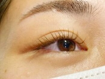 ビーワールド(B-WORLD)/まつげパーマ