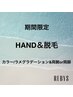 夏まで限定☆【HAND&脱毛】カラー/ラメグラデーション&両腕or両脚脱毛¥11900