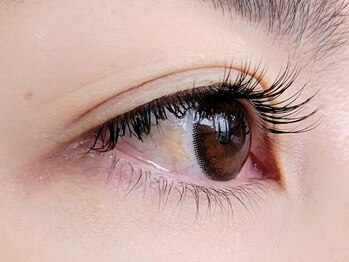 カフェアンドビューティー エスト(cafe&beauty est)/シングルラッシュ