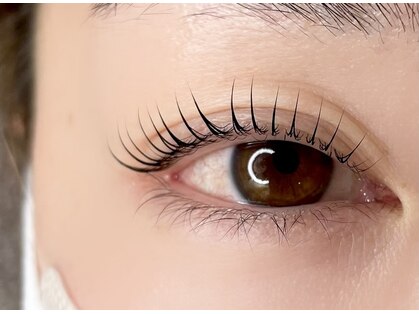 asa.eye designの写真