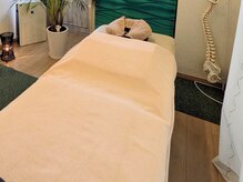 カイナルカイロプラクティックの雰囲気（海を感じる色と植物に囲まれた、女性専用プライベート空間です。）