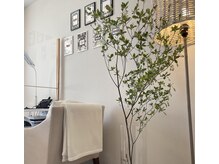 ネイルサロン ブランチェ 恵比寿(Blance)の雰囲気（落ち着いたおしゃれな店内）