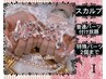 スカルププレミアムアート10本コース