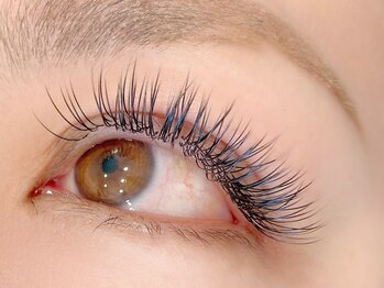 パルフェ(Parfait Eyelash Nail Salon)/【LED】フラット付け放題・180本