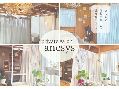 アネシス(anesys)の写真
