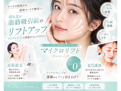 シルキーエービューティー(Silky A Beauty)の写真
