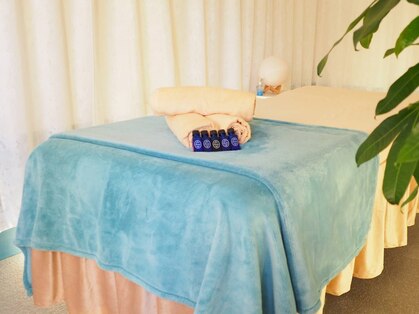 クローバー(Clover)の写真