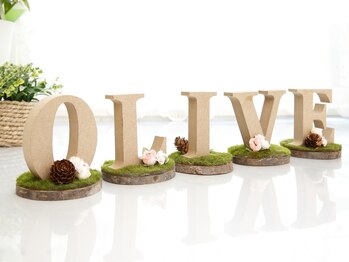 オリーブ(OLIVE)/OLIVE
