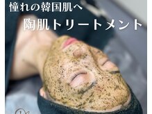 ヴィータ(VITA)/陶肌トリートメント