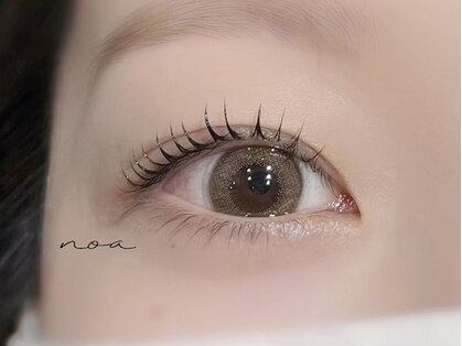 ノア(noa)の写真