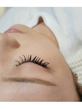 メルク(MELK)/束感デザイン