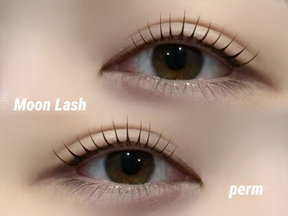 ムーン ラッシュ(Moon Lash)の写真