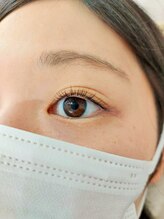 ルピナス(Lupinus)/フラットラッシュ120本