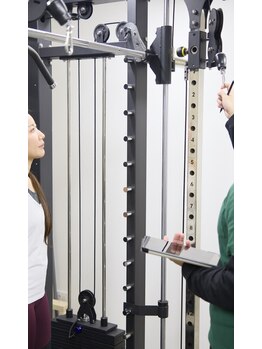 ヘラクレス (HERAKLES)/丁寧にご説明します