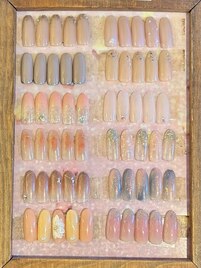 1・2月定額コースサンプルD