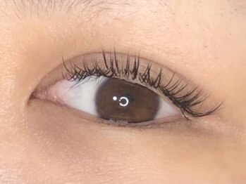 ウルカ アイラッシュ(uruka EYELASH)/フラットラッシュ 140本