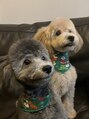 グロース(Growth) お家に居る愛犬^ ^♪