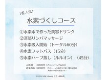 ヨサパーク ハヌル 住吉 錦糸町(YOSA PARK Haneul)/1番人気の水素づくしコース