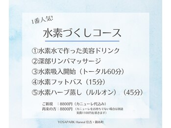 ヨサパーク ハヌル 住吉 錦糸町(YOSA PARK Haneul)/1番人気の水素づくしコース