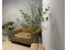 グリーンに癒される空間