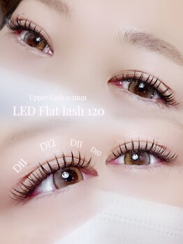 ホワイト(WHITE)/LEDマツエク120本