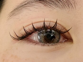 デジール/フラットラッシュ120本