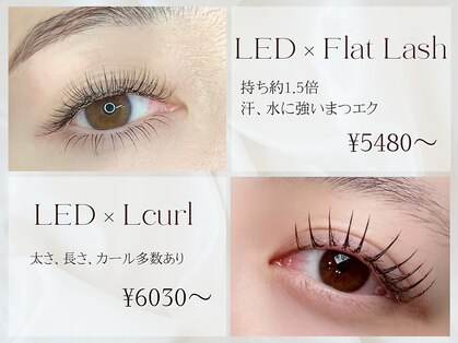 シャルモン(charmant)の写真