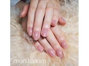 マニブルーム/大人気色