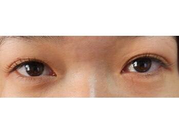 ジャポネスク(JAPONESQUE)/フラットラッシュCカール100本