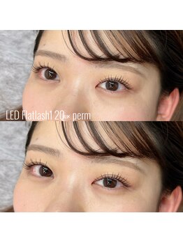 メルシー 青山店(Merci)/LED Flatlash100 × perm