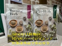 ヨサパーク シェリ 東戸塚(YOSA PARK Cheri)の雰囲気（ブレンドハーブのミストをたっぷり浴びてデトックス×痩せに行く）
