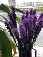 ナナ 名護店(NANA)&nbsp;南本 京香