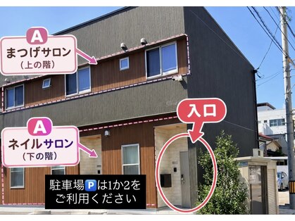 シー(see)の写真