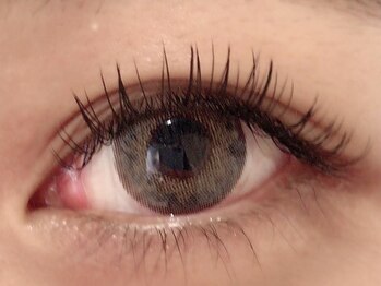 カラン 焼津店(CALIN)/フラットラッシュ140本